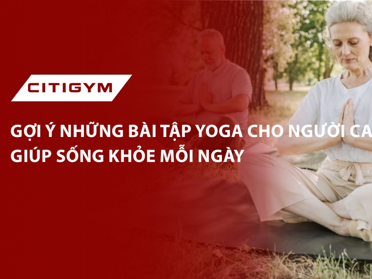 Gợi ý những bài tập yoga cho người cao tuổi giúp sống khỏe mỗi ngày