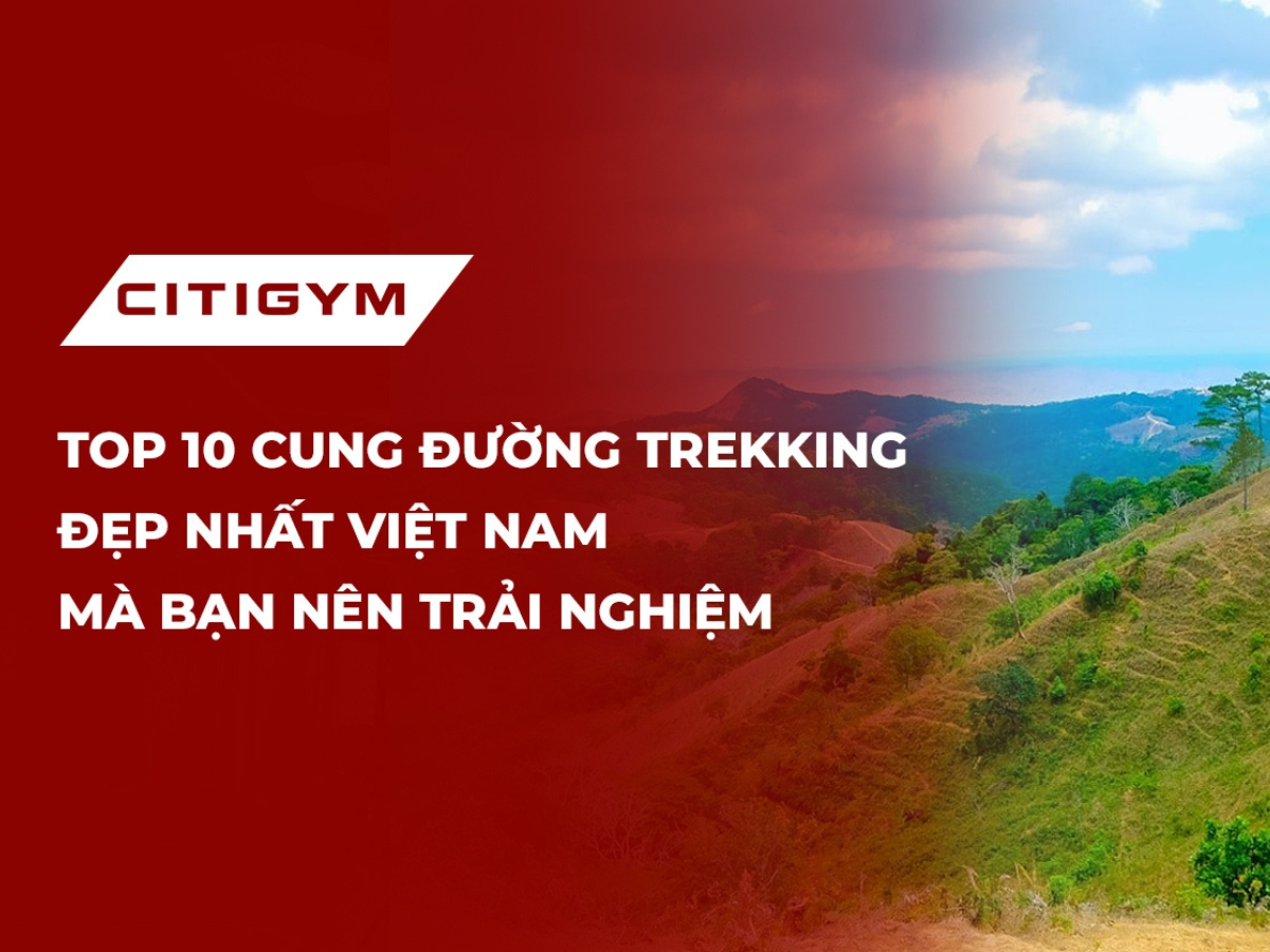 Top 10 cung đường trekking đẹp nhất Việt Nam mà bạn nên trải nghiệm