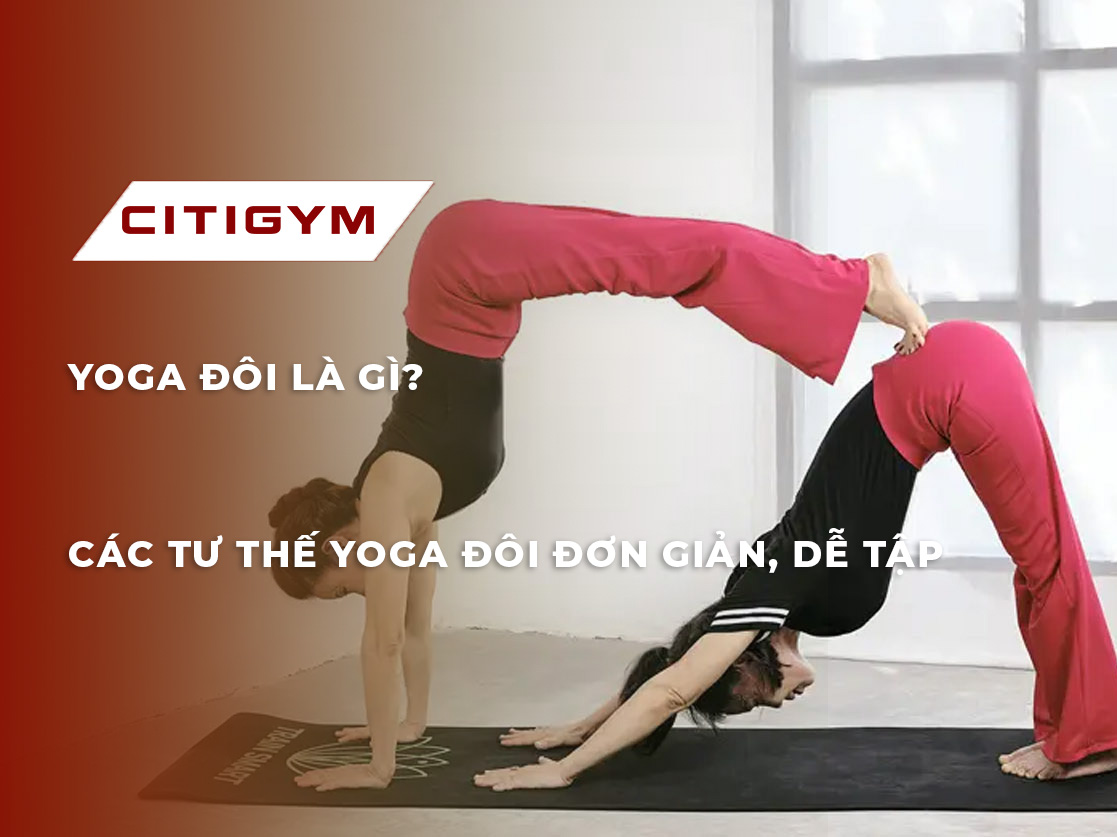 Yoga đôi là gì? Các tư thế yoga đôi đơn giản, dễ tập
